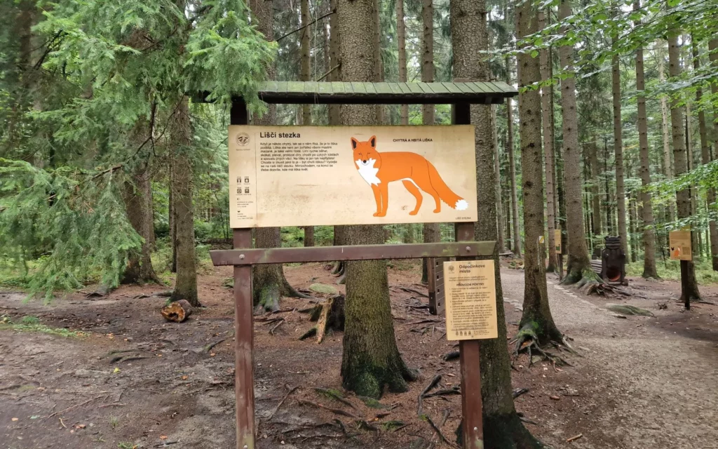harrachov-co-zobaczyc