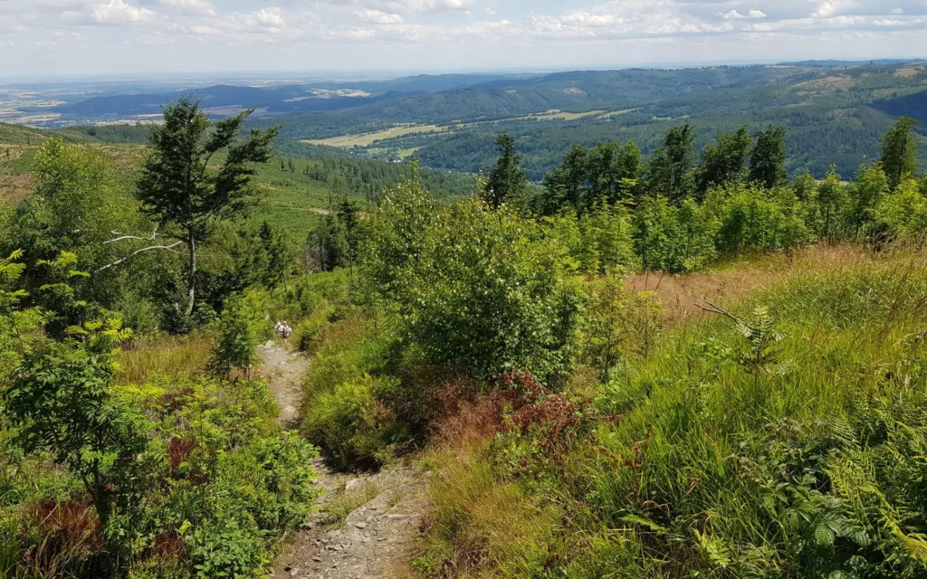 cicha-dolina-gory-opawskie