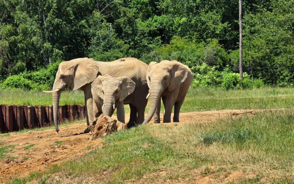 Zoo-Zlín-Palac-Lešná