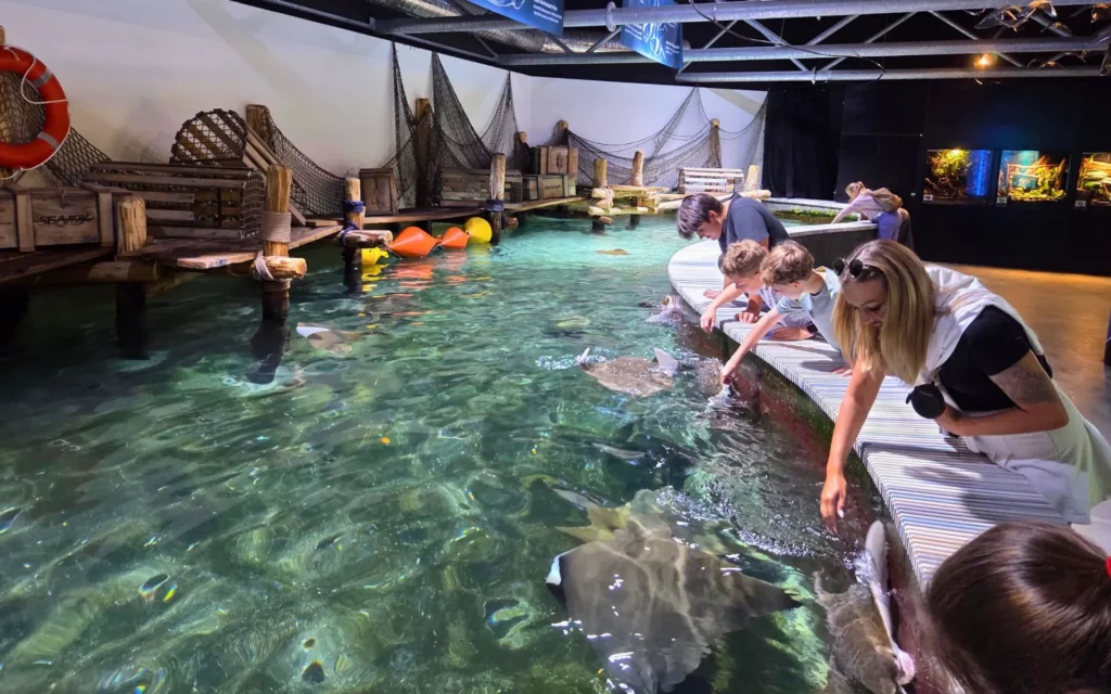 najpiekniejsze-czeskie-zoo