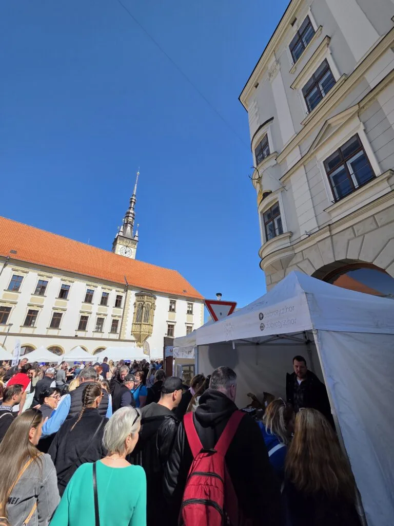 festiwal-serkow-olomunieckich-2026