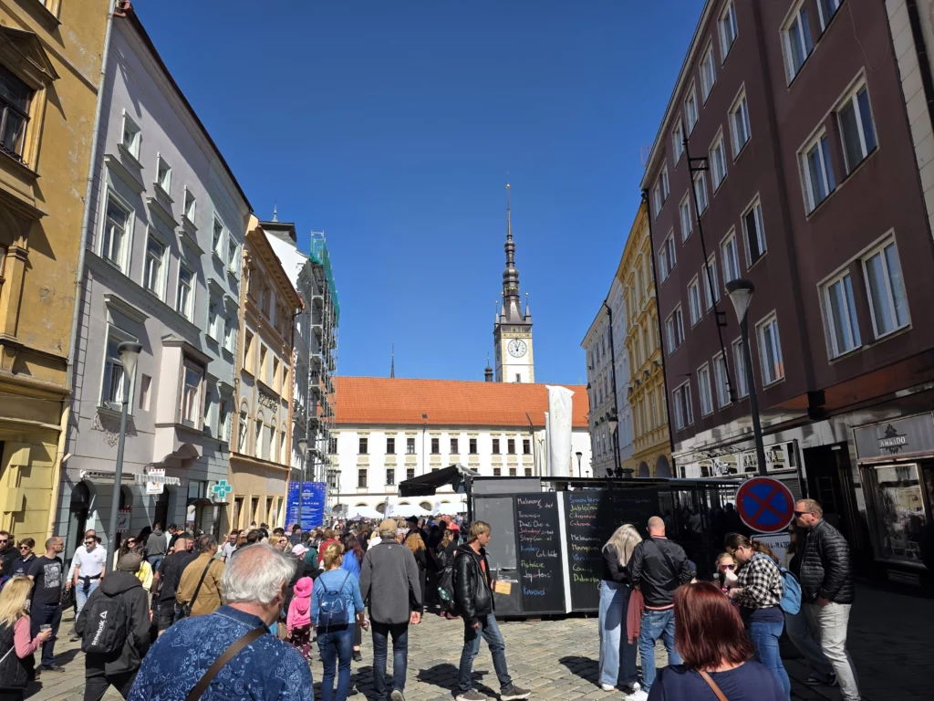 festiwal-serkow-olomunieckich-2026 (2)