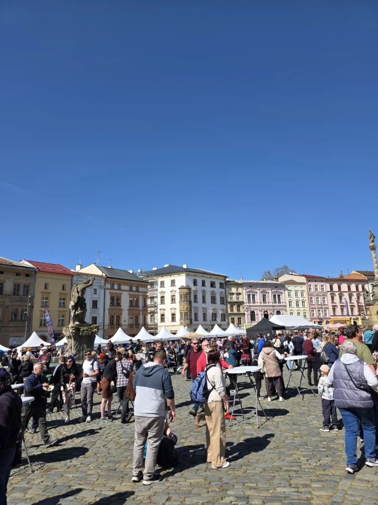 festiwal-serkow-olomunieckich-2026 (2)
