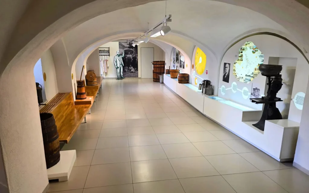 muzeum-serkow-olomunieckich (2)
