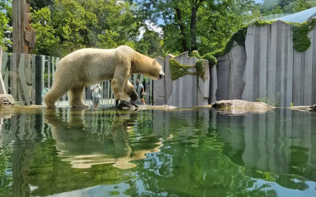 zoo-wieden