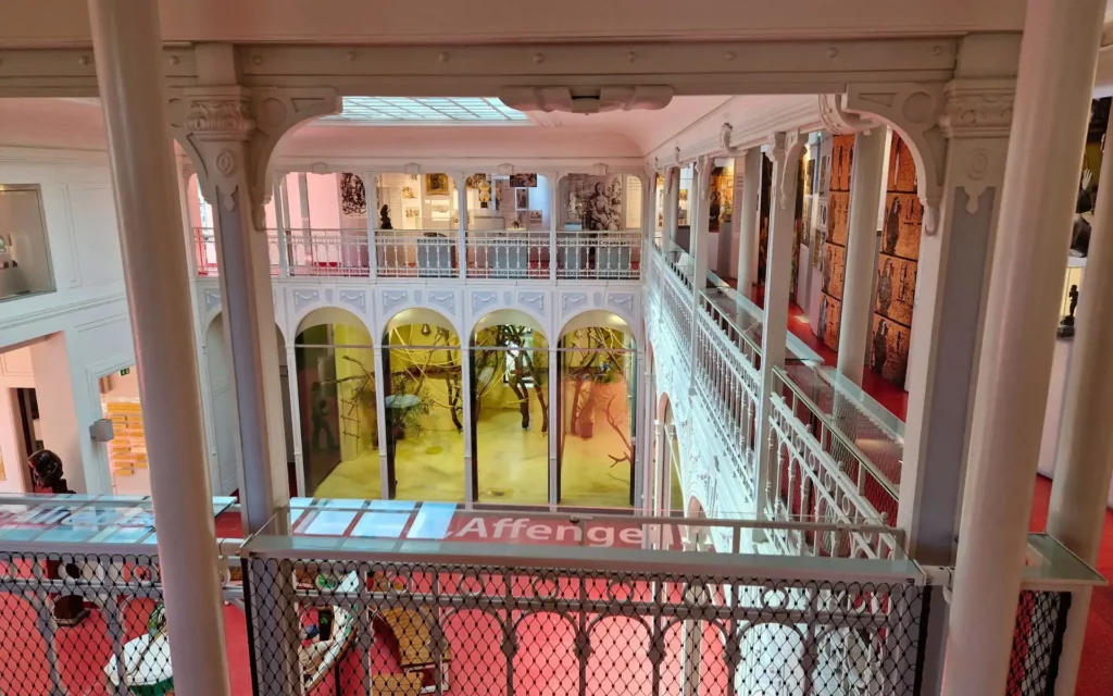 zoo-wieden